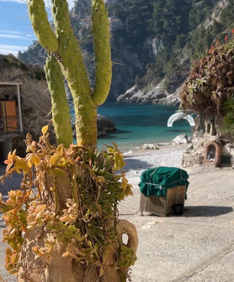 Capri Magic House On The Beach Kültér fotó