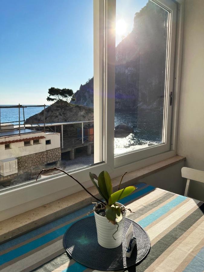 Capri Magic House On The Beach Kültér fotó
